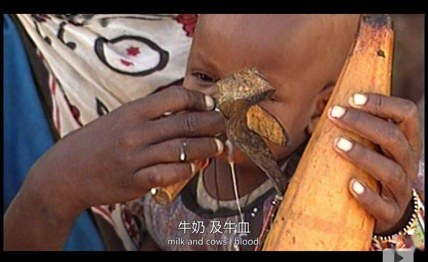 BBC纪录片清点全球最不安康的饮食体例, 中国人中了好多箭……那说的是你吗？