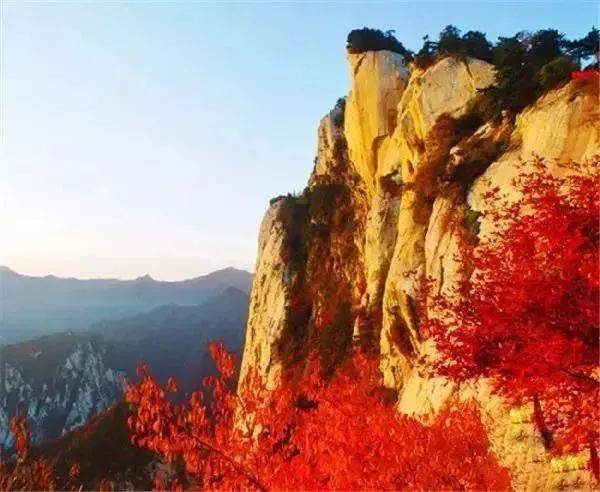 文章配图-26