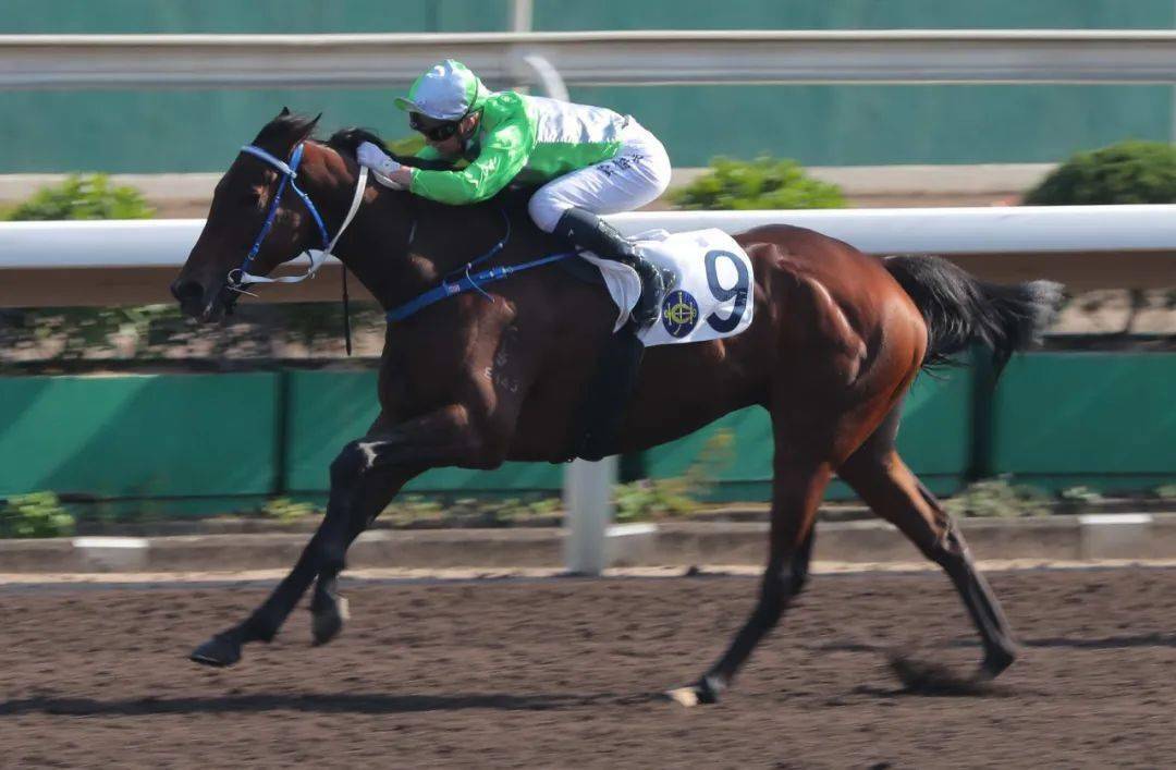 ������֮ս������ǹ��ʮ�����ۡ����±��� ���������ݡ�һ�� ...