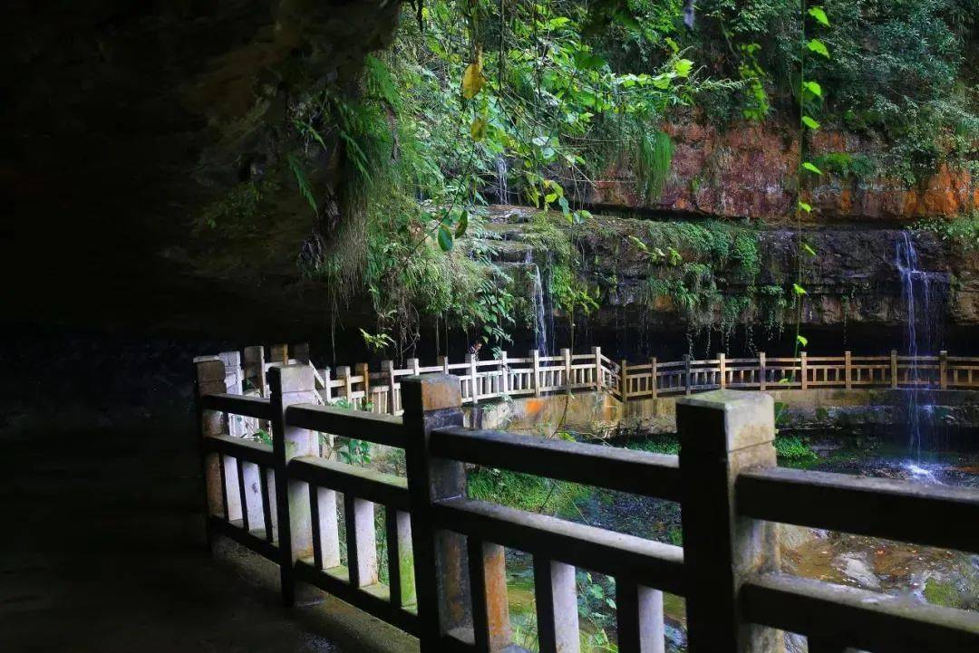 文章配图-6