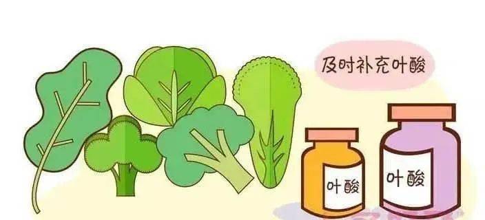 文章配图-25