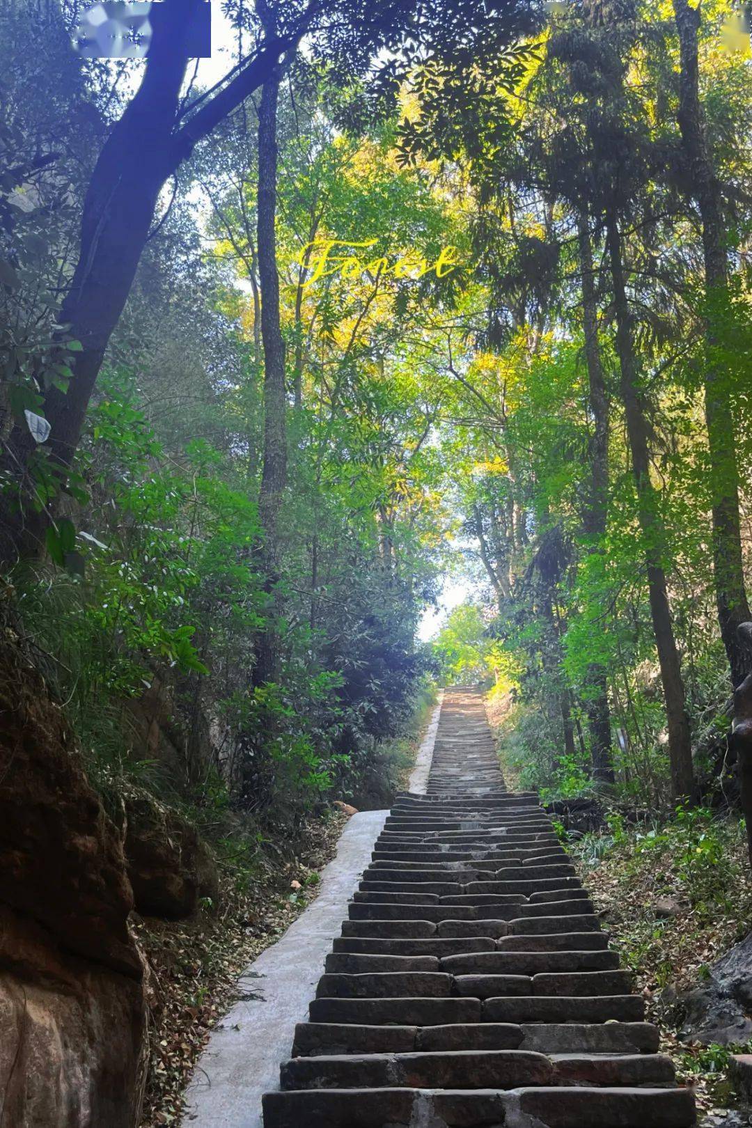 赏花、听瀑、登高、喂萌宠…韶关初春不成错过的踏青好去向来了，还免费