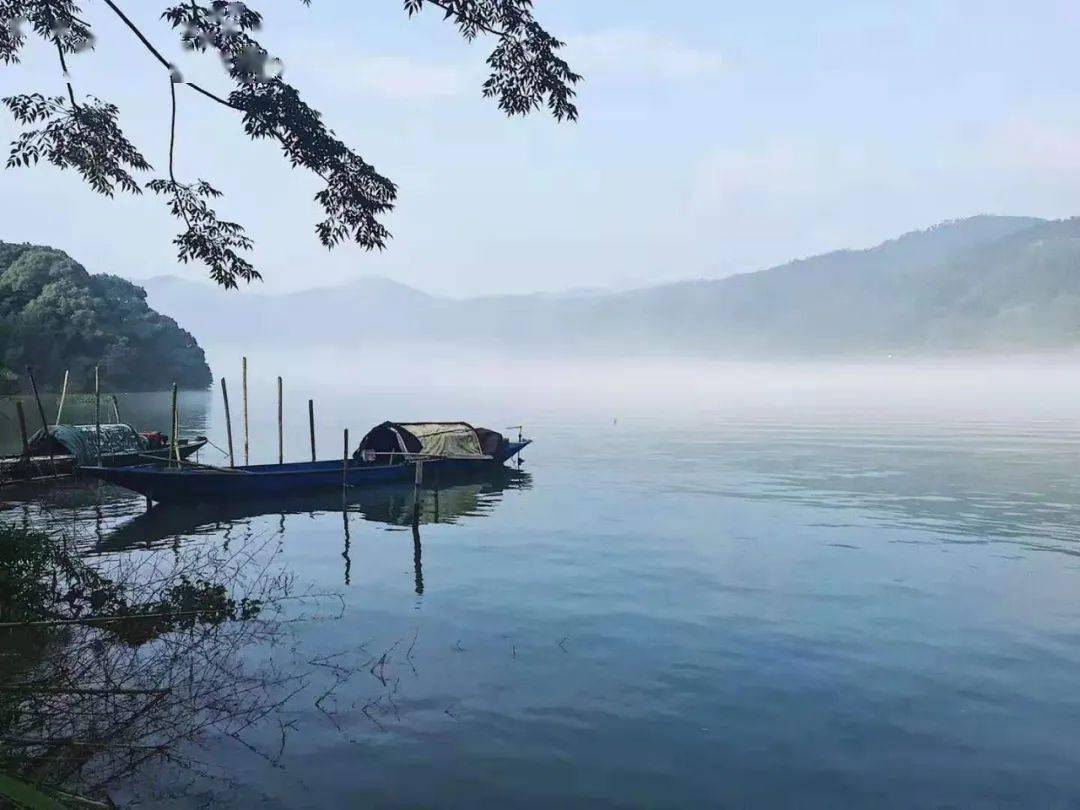 接下来的杭州堪称国内旅游浪漫天花板，景区免费游，错过不再有！