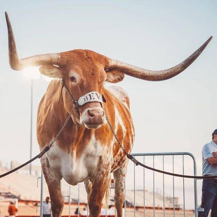 30��ȫ��������������ѡ��Ĵ�ѧ��ѧ����ס���ޣ�˭��Ľ ...