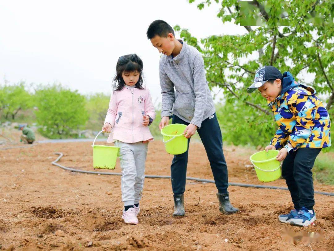 Back to Earth丨大地之子农做系列课程（春夏日）