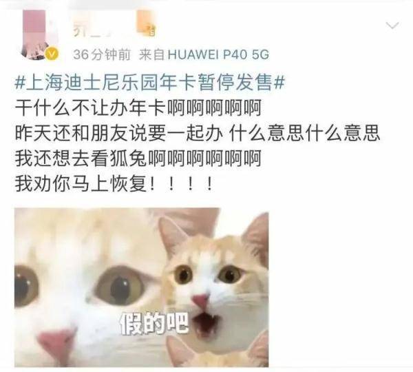 上海迪士尼颁布发表：停售！网友：快乐没了？现实情况是→