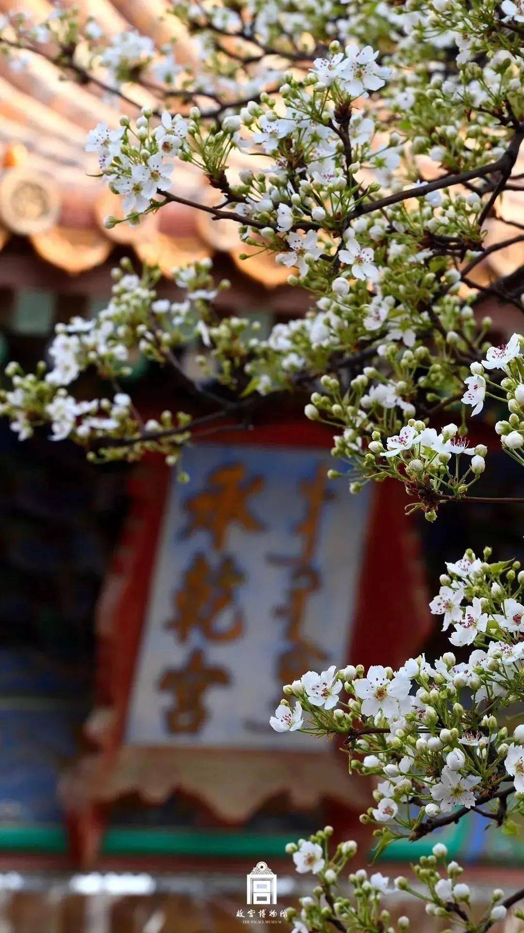 北京超美的9大拍花地，你确定不去看一下吗！