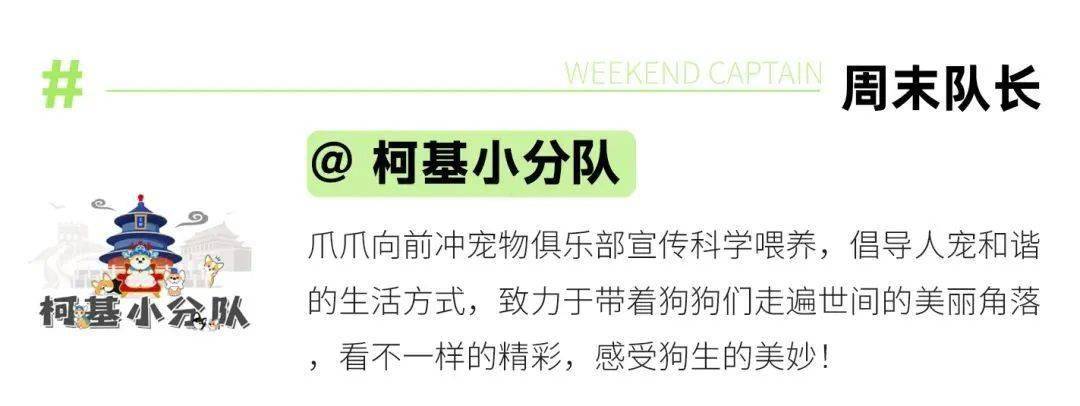 别找了！那届爱玩的年轻人已经不去寺庙了，都在……