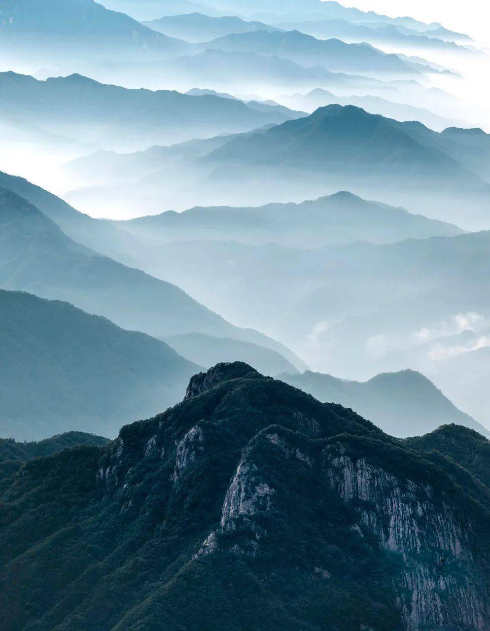 �й���һ�Ʋ���5A������Ƿծ4���ڣ���Ʊ���Ǽۣ���Ȫˮֻ ...