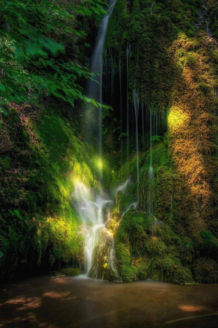 �й���һ�Ʋ���5A������Ƿծ4���ڣ���Ʊ���Ǽۣ���Ȫˮֻ ...