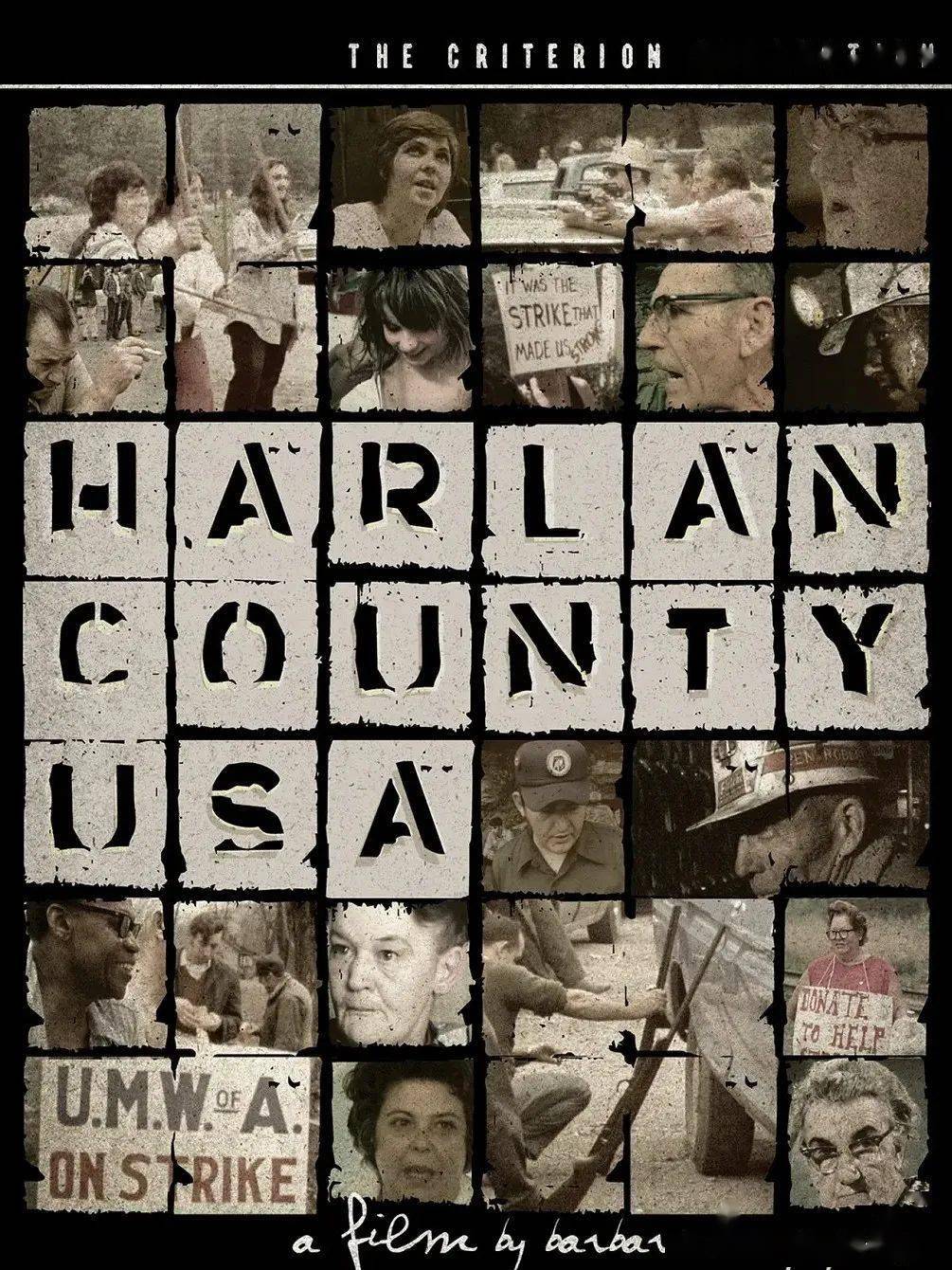 ���쿴��֮�⣺�й��쿴ʽ��¼Ƭ������ת���봴����չ