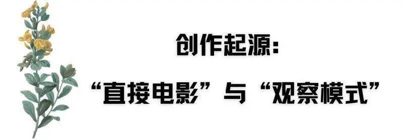 ���쿴��֮�⣺�й��쿴ʽ��¼Ƭ������ת���봴����չ