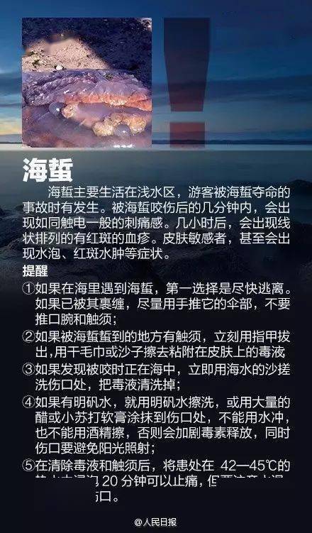 有剧毒！那种生物深圳海边已呈现，看到万万远离