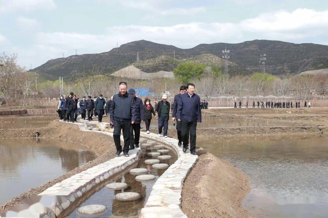 海豚体育APP太原最高级五星级奢华酒店5月开业山西民企百强亚鑫集团惠东稻园开园(图4)