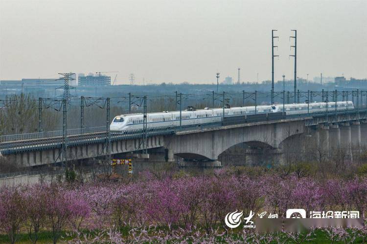 视觉山东丨群众视觉影像库一周图片精选（4月3日-4月9日）