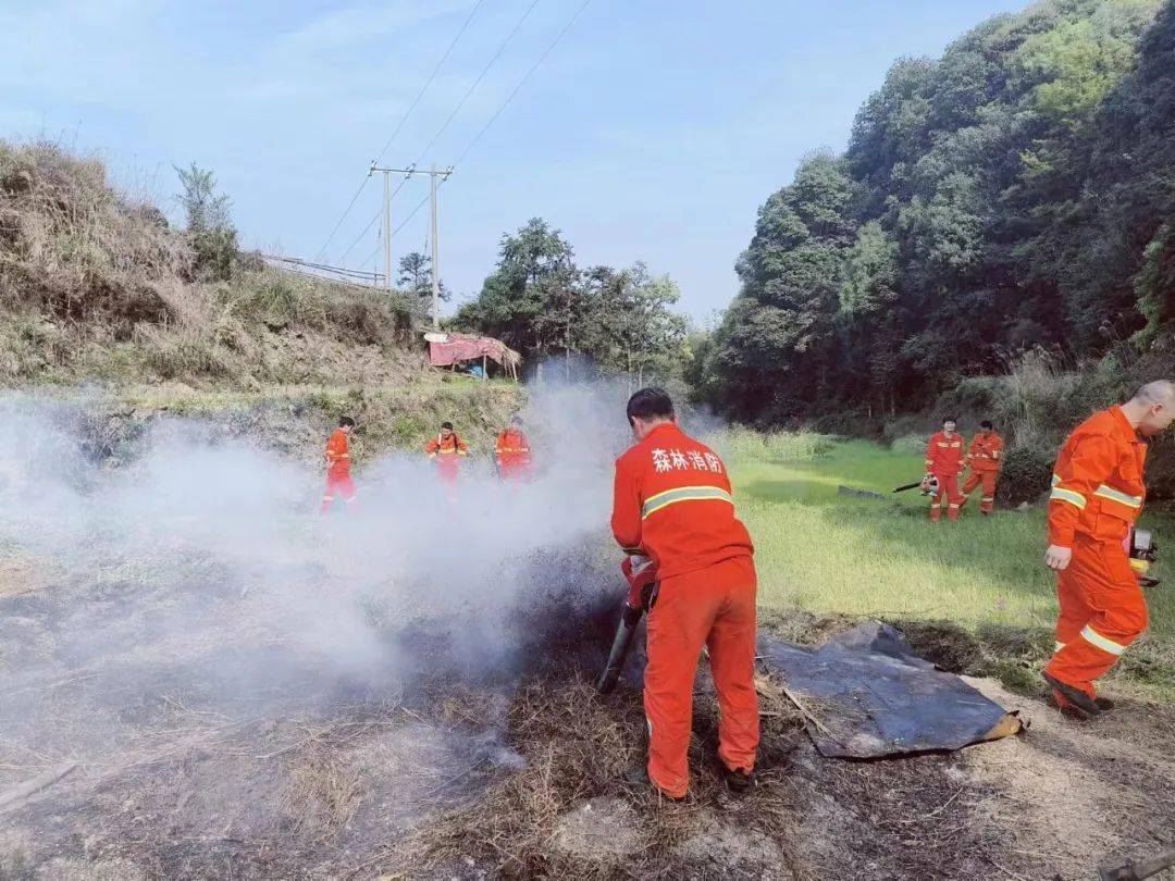 压责任建系统 筑根底强步队 广宣传抓管控——瓯海区“三行动”筑牢丛林防灭火平安防线