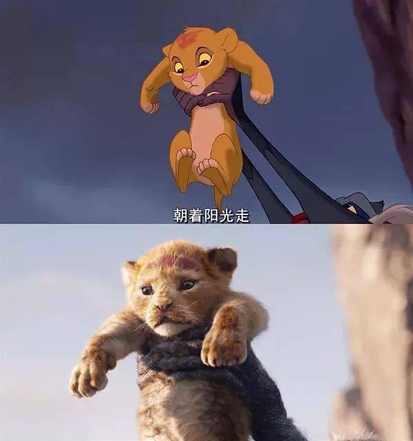 儿童节礼物，安排！