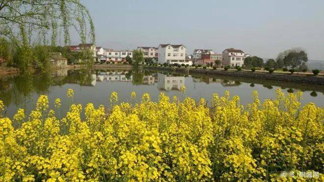 桐城被认定为省级开云 开云体育官网休闲农业与乡村旅游示范县（市）