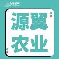 文章配图-75