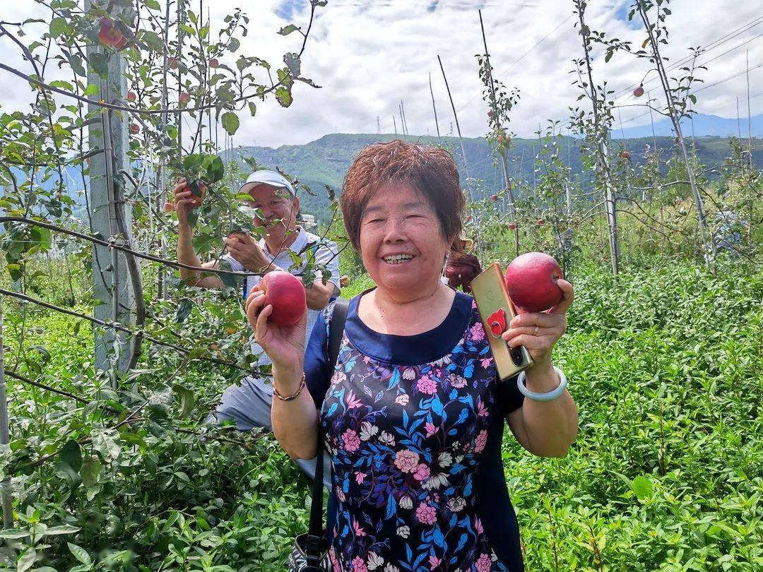 半岛官网清凉火把季·20℃游越西游园活动苹果采摘欢乐享不停(图5)