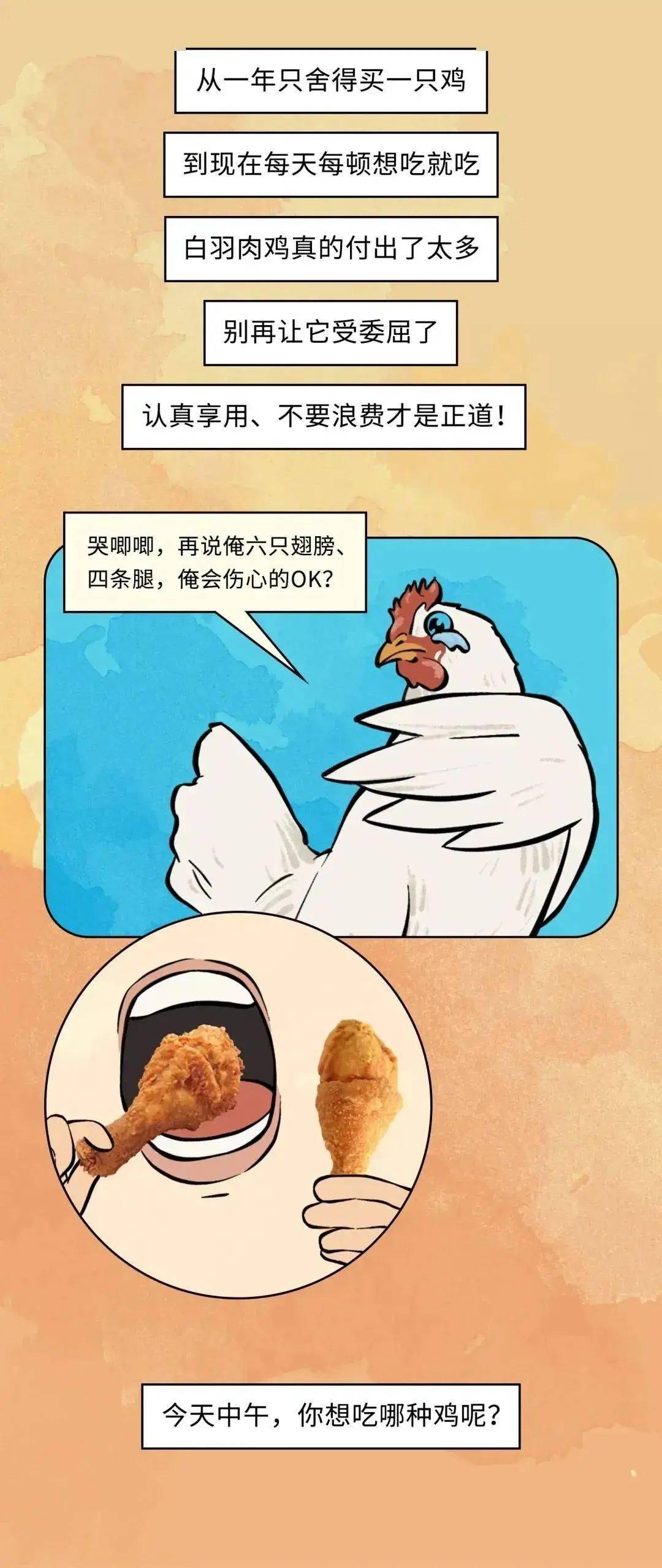 为什么说“速生鸡”是个好东西？