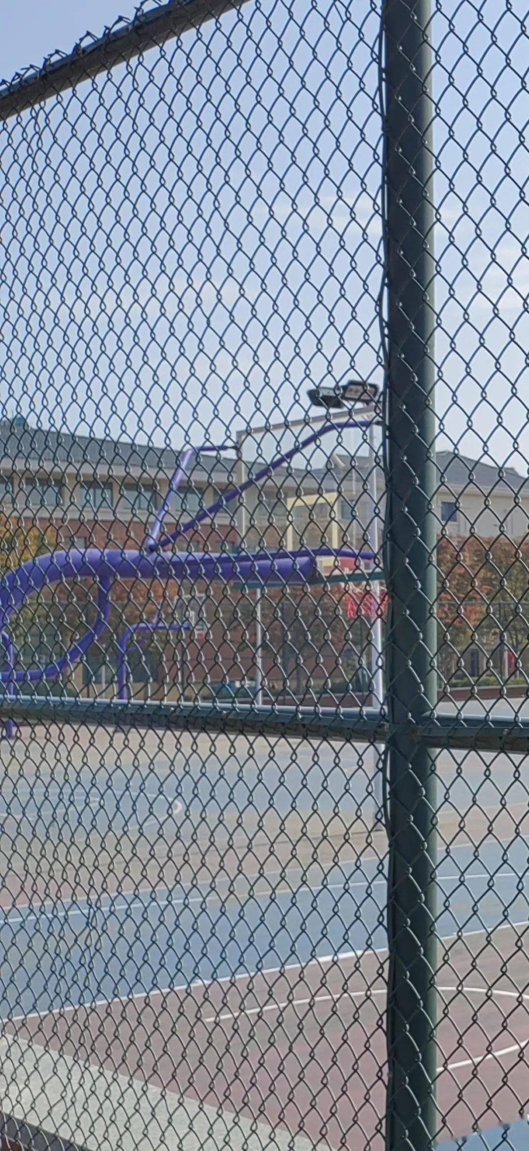 厉害了!莱西这个学校的体育课有了“AI”老师 厉害了!莱西这个学校的体育课有了“AI”老师