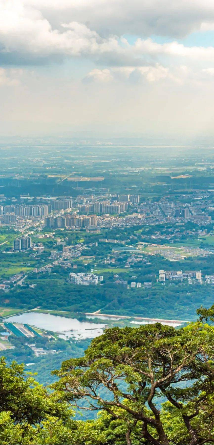 藏在大自然的美宿，旅居度假就来这！