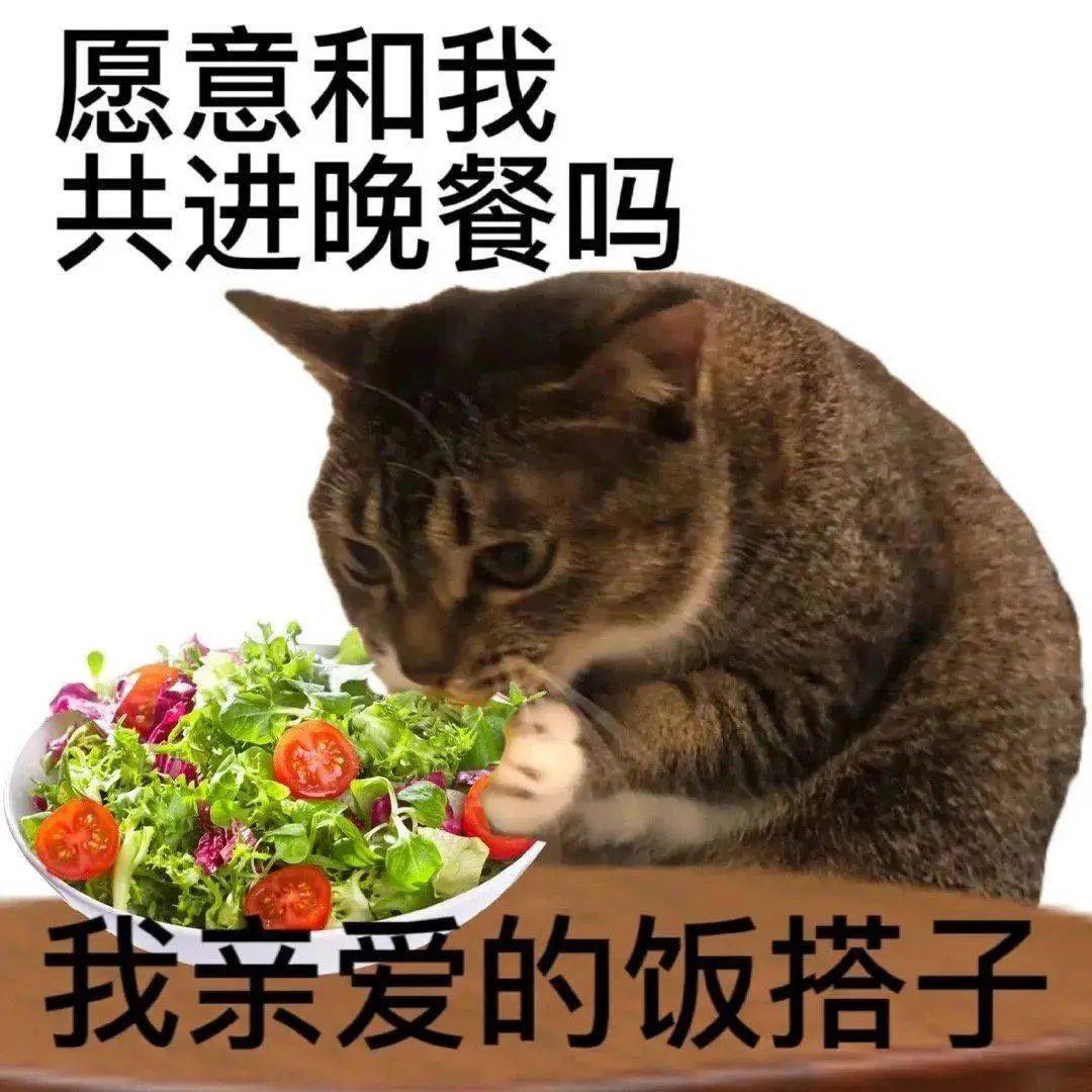 文章配图-25