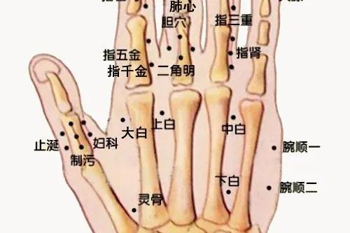 董氏穴位分享:一一手指部位·火膝穴(中医分享,仅供参考)_手机搜狐网
