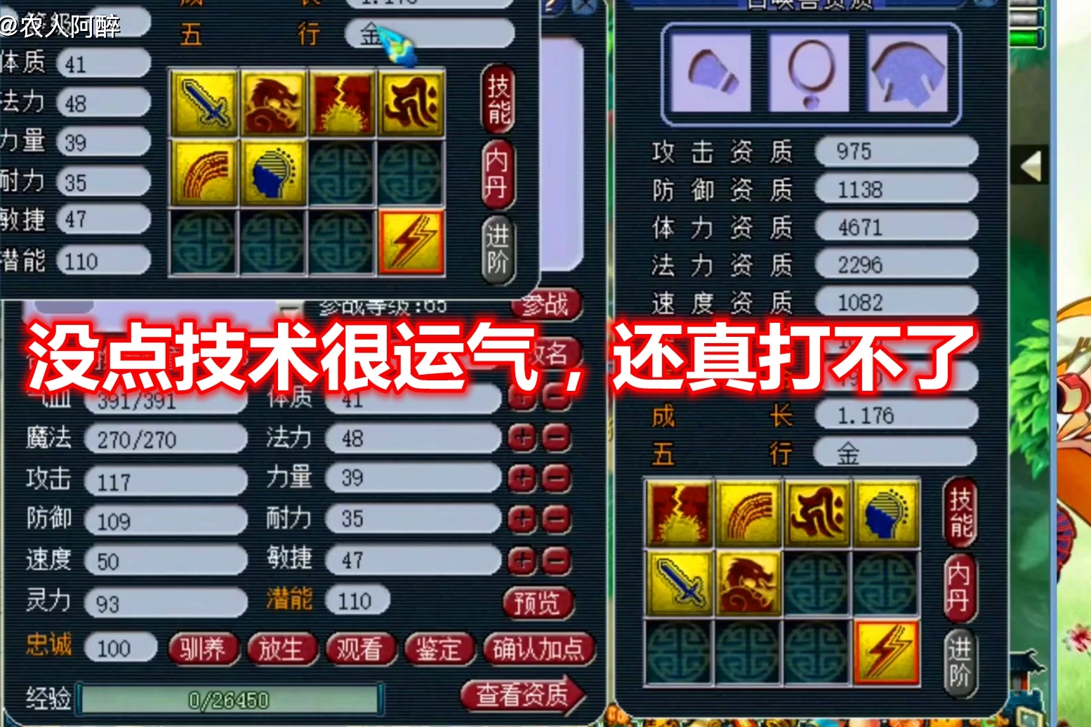 梦幻西游双特殊技能龙鲤打书多次劝说老板不能忍最终打成