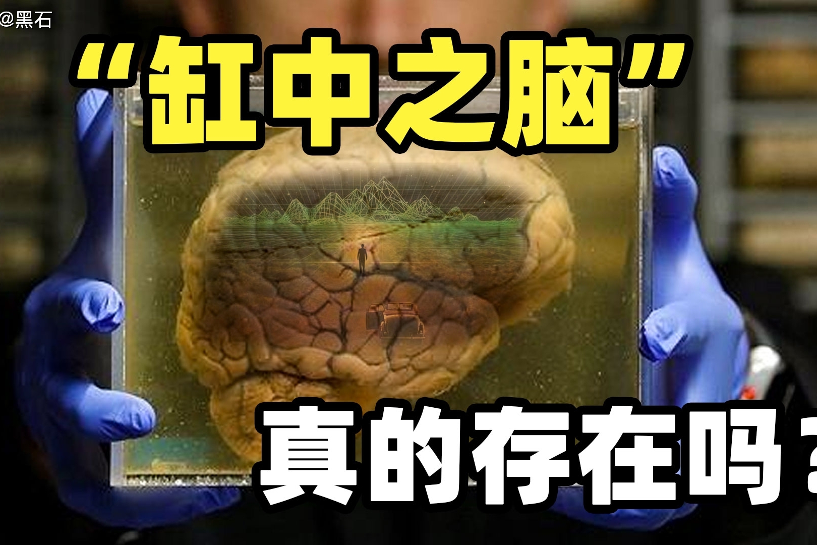 著名猜想缸中之脑真的存在吗只有ai的世界才是虚拟的吗