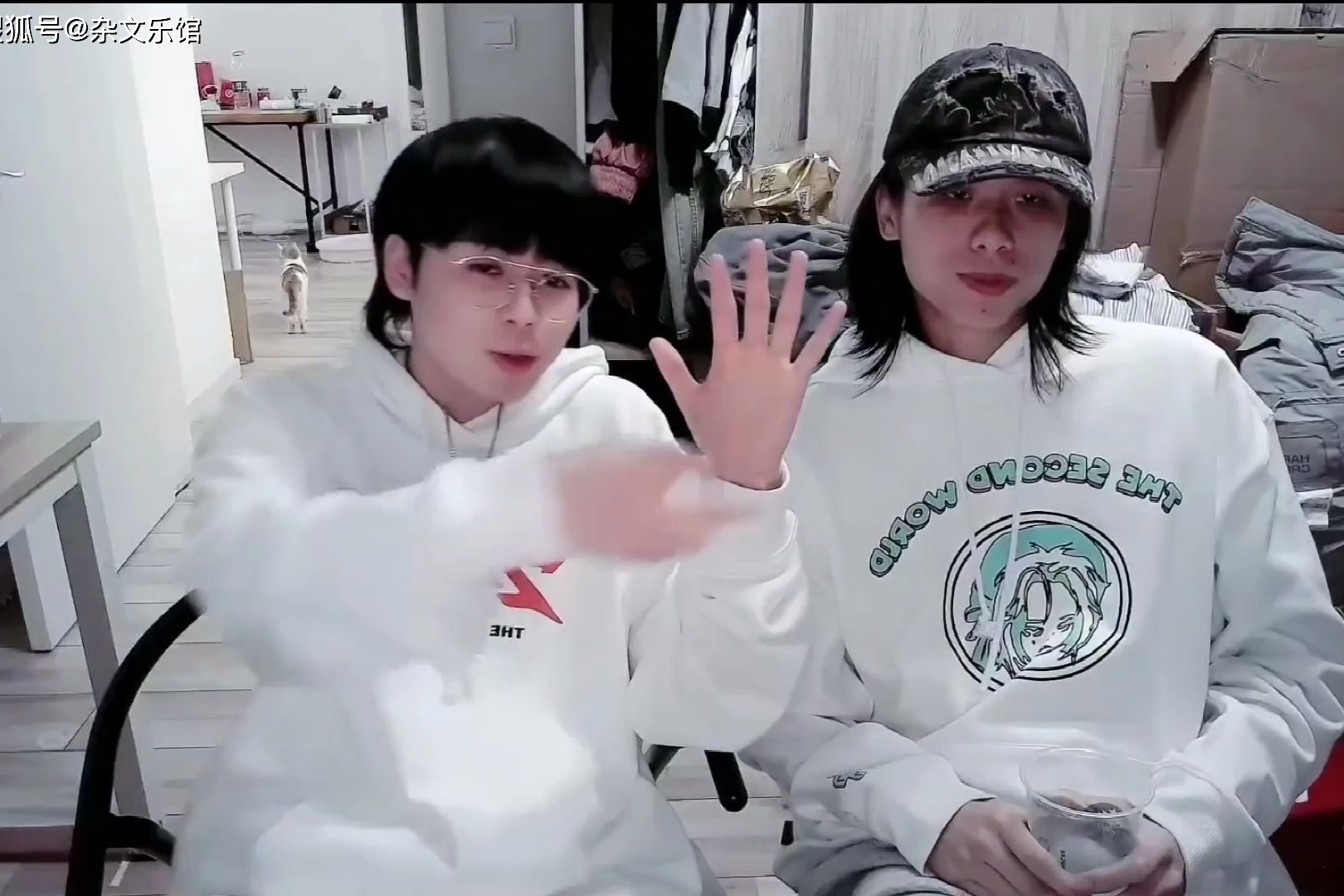 杨和苏被踢出活死人mc法老小精灵直播踢人