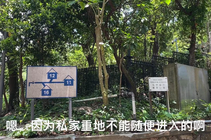 实拍香港大浪湾李泽楷家的红木屋豪宅现市值25亿呢真有钱啊