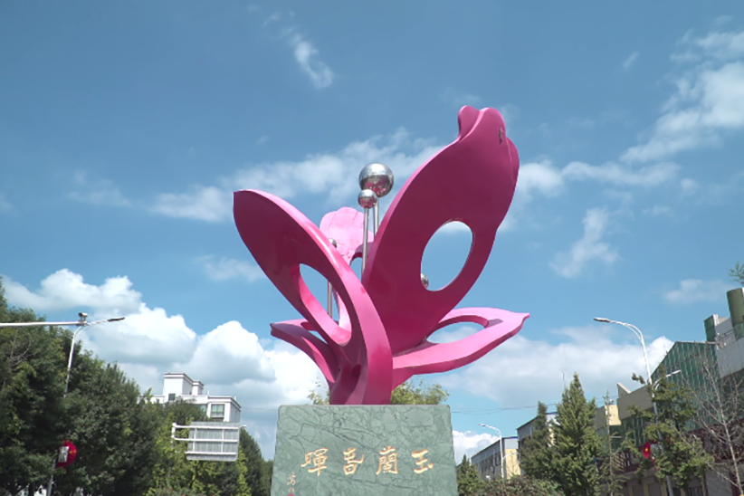 临西县税务局推出微视频减税降费成就梦想