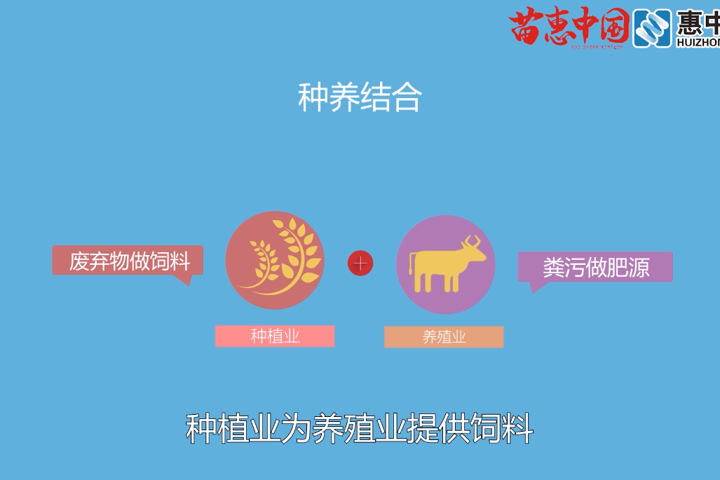 新农人必看种养结合循环农业科普动画