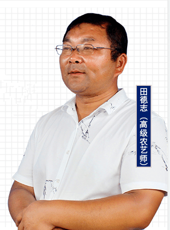 果业通网的个人展示页