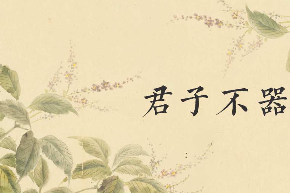 原创"君子不器,这句话是什么意思?