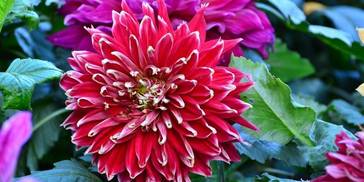 下月起，姻缘双开花，旧爱归来，4星座互诉心声