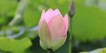 4月27日开始，财神助力，贵人捧场，聚财力惊人3生肖