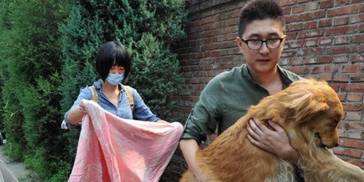 狗狗有这些情况，可不是“吉兆”，可能要离你而去了