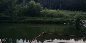 30天内 有惊喜，横财不断，行大运发大财，大富大贵3生肖