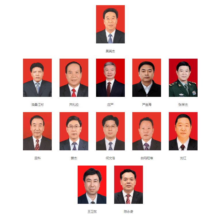 候补中央委员丁业现已卸任西藏自治区党委常务副书记