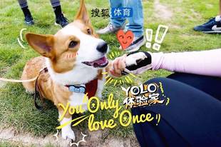 YOLO体验家-和毛孩子们一起尽情撒欢！