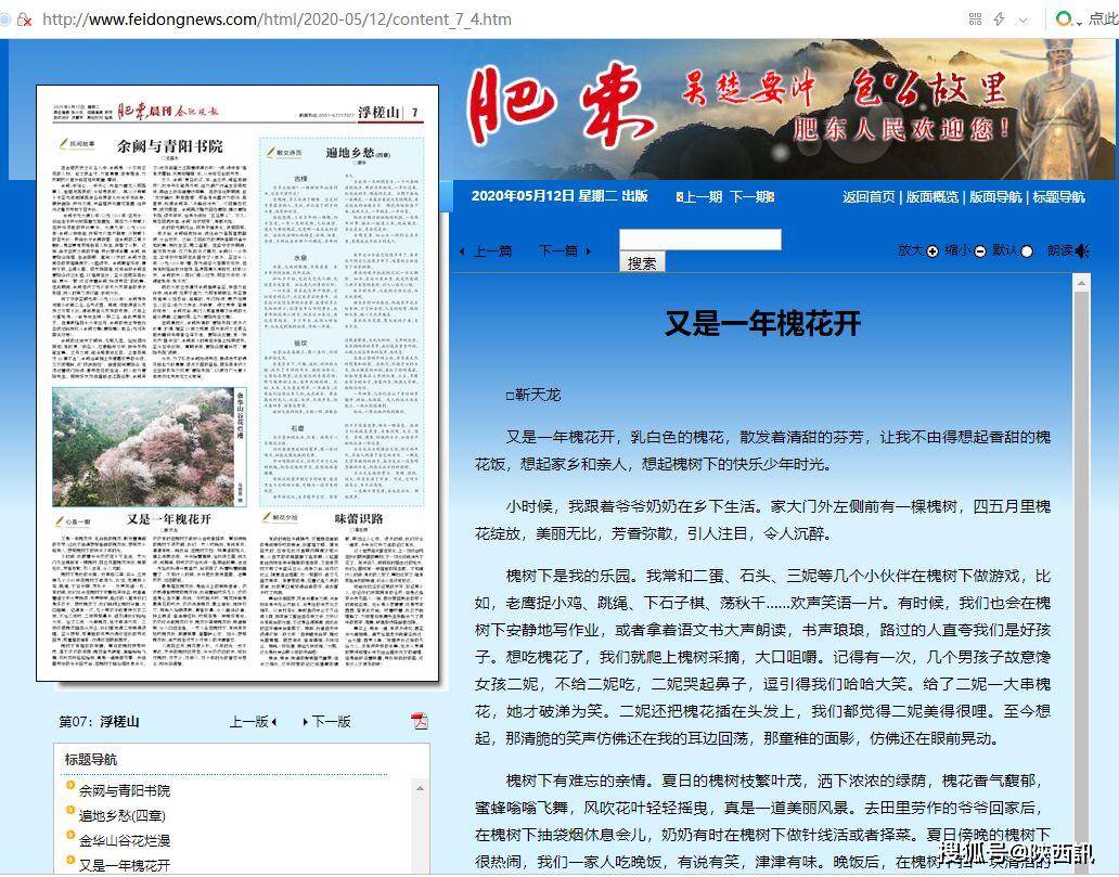 《肥东晨刊》2020年5月12日第7版作者简介:靳天龙,陕西岐山人,民盟