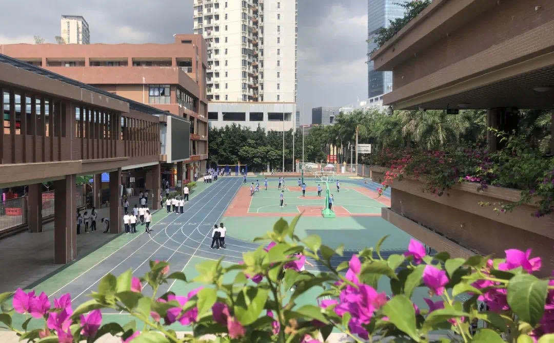 神兽回笼爱添灵助力最晚开学季