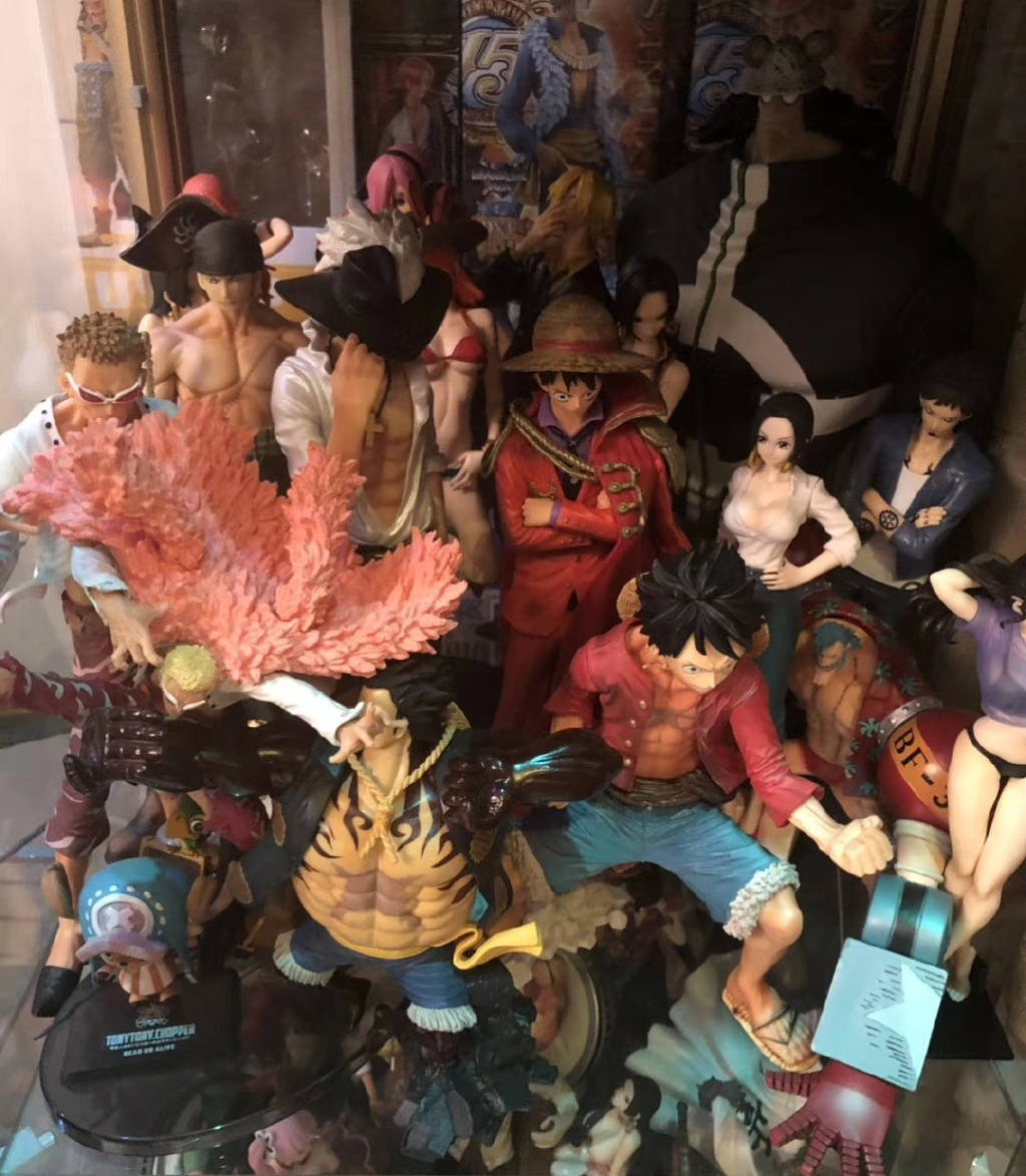 土豪晒海贼王大妈手办,被左边展柜抢镜,网友:放不下可以放我家