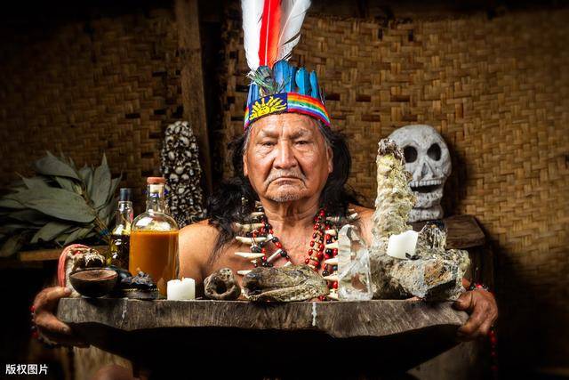 见识了火枪后,印第安人还是认为自己制作的毒液在狩猎时更好用!_木薯