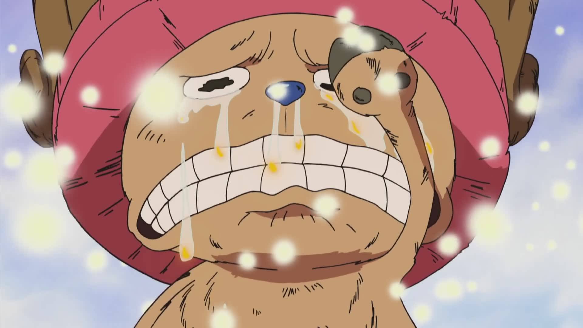 海贼王,战国的宠物羊能碎纸,青雉的企鹅能拎包,乔巴则有6种功能