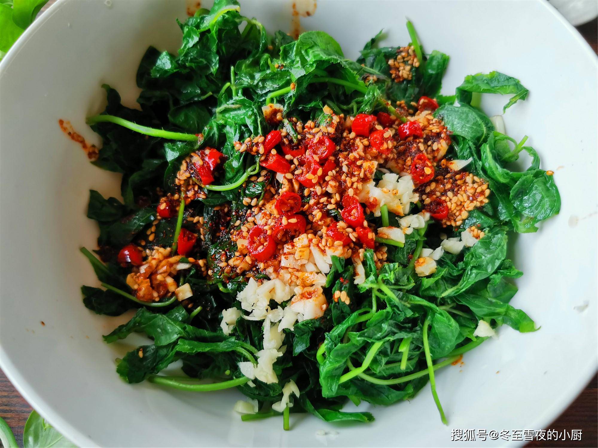 刺五加山野菜别总是蘸酱吃,教你凉拌的做法,清香好滋味