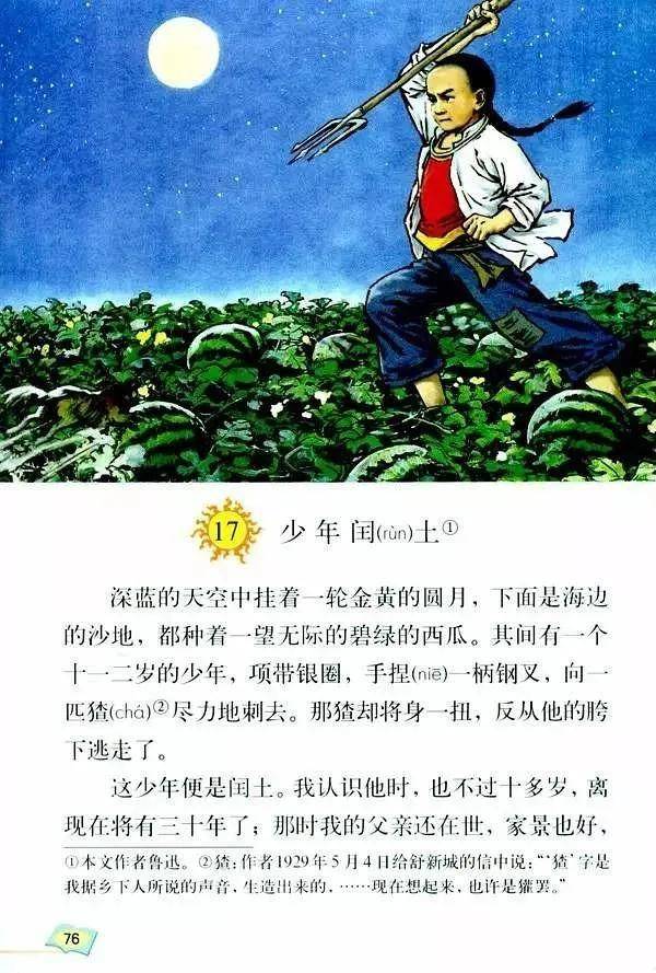 鲁迅笔下的猹原来长这样,那么它会不会偷西瓜?来听听它的